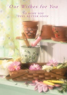 Get Well - Adult - Flower Pots