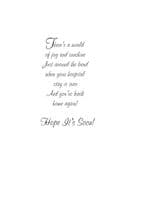 Get Well - Adult - Hospital Floral