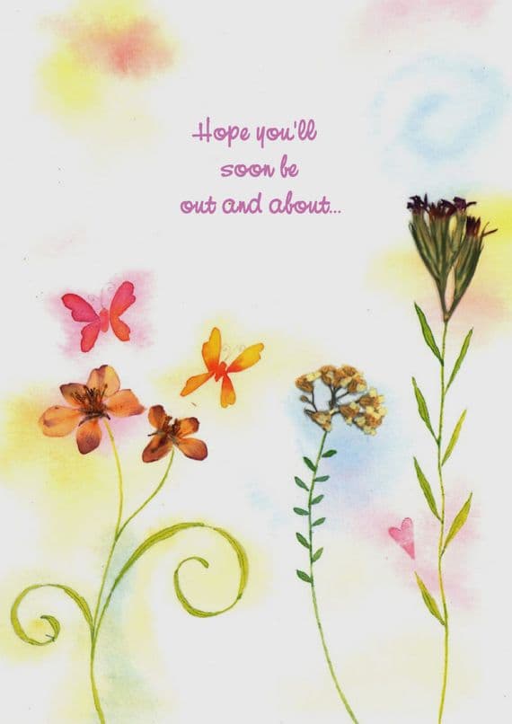Get Well - Adult - Meadow Flowers