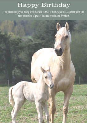 Horses-Birthday Card