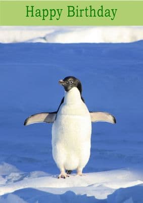 Penguin