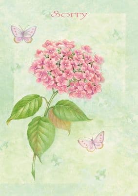 Sorry - Pink Flower