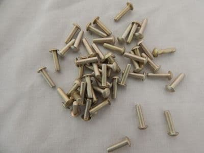 Gr10 Rivets Solid Rivets