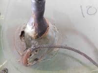 Lynx MK3 Helicopter Downward Landing Lamp, From XZ237 [PL5]