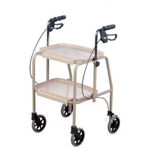 Trolley Walker