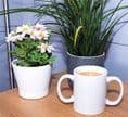 TWO HANDLED MUG