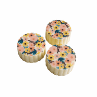 Sweet Artist Professional Chocolate Polycarbonate Magnetic Transfer Moulds -  Various Designs