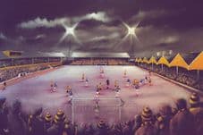 From the South Bank, Molineux, Wolverhampton Wanderers - 20'' x 30'' Box Canvas Print