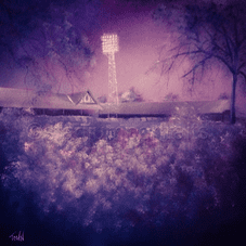 Glorious Park Avenue 11'' x 11'' poster print