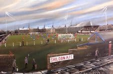 Shildon AFC - Dean Street 20'' x 30'' Box Canvas Print