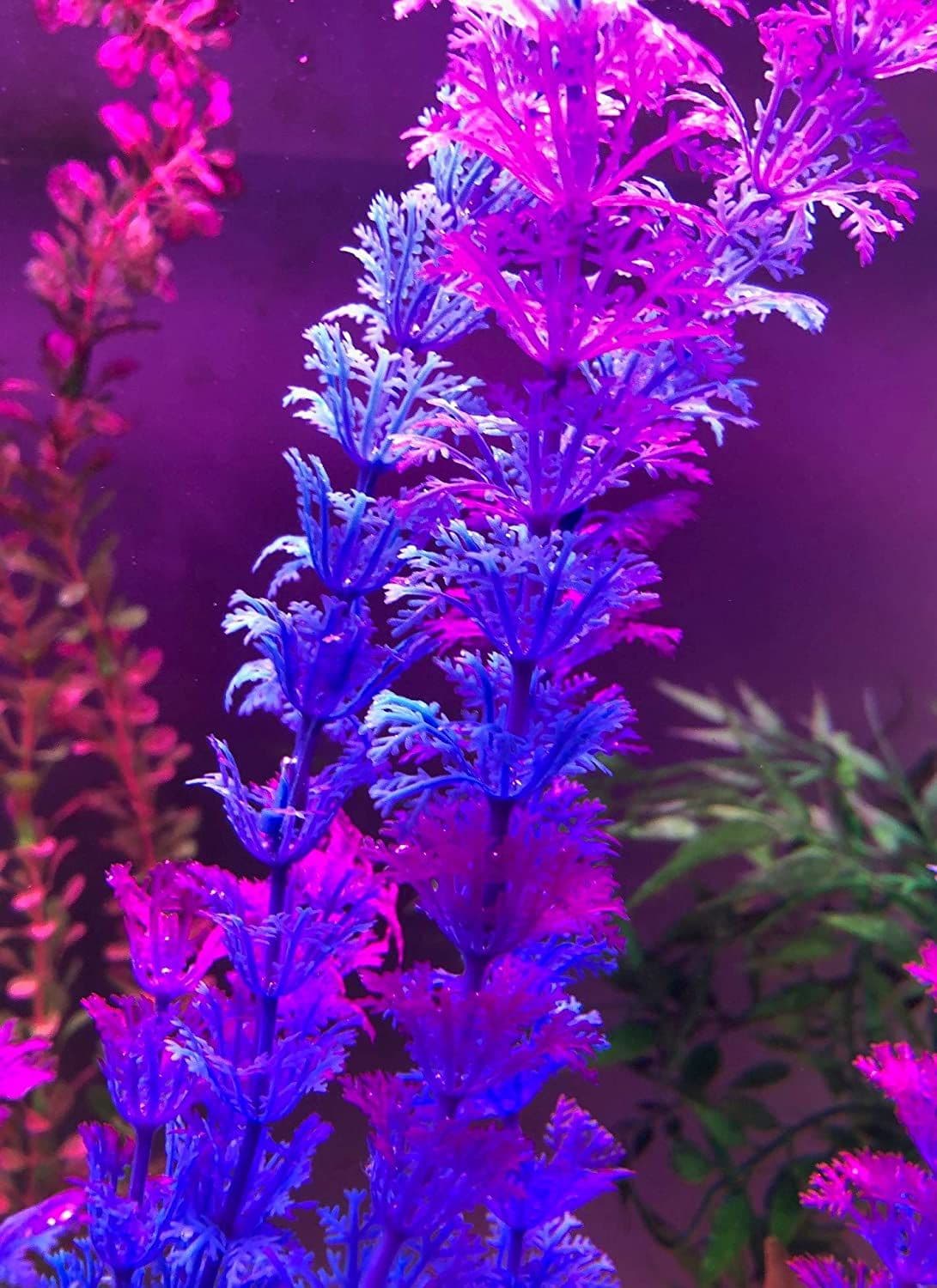 20" Tall Plastic Aquarium Plants Tank Decor 2 Blue Purple