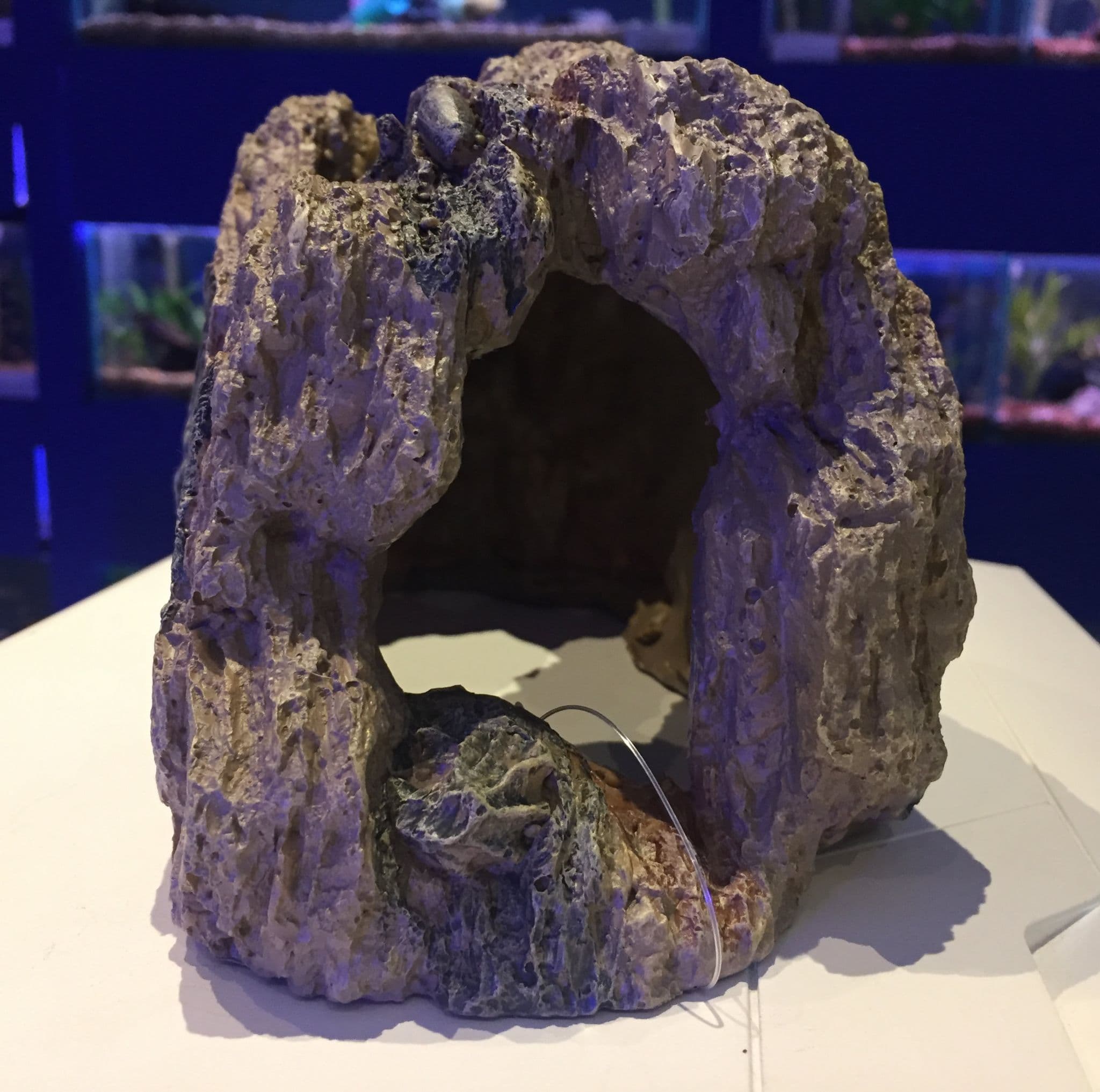 Fossil Piranha Rock Cave Aquarium Ornament Large