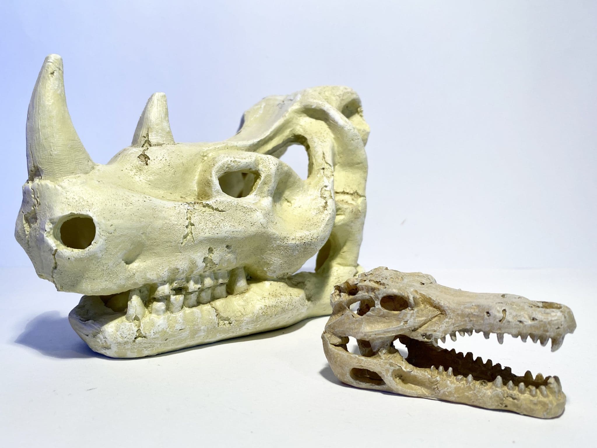 skeleton fish tank ornaments