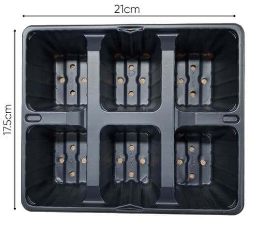 10 Lots of  6  Cell Bedding Multi Plant pack by  Desh
