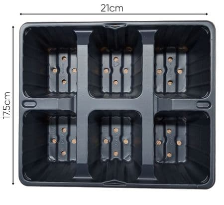 10 Lots of  6  Cell Bedding Multi Plant pack by  Desh