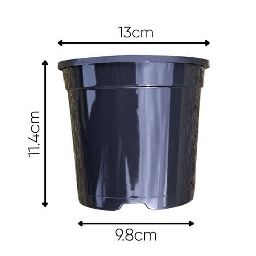 100 - 1 Litre  Black Round Plant Pots 13cm  Slotted by Aeroplas
