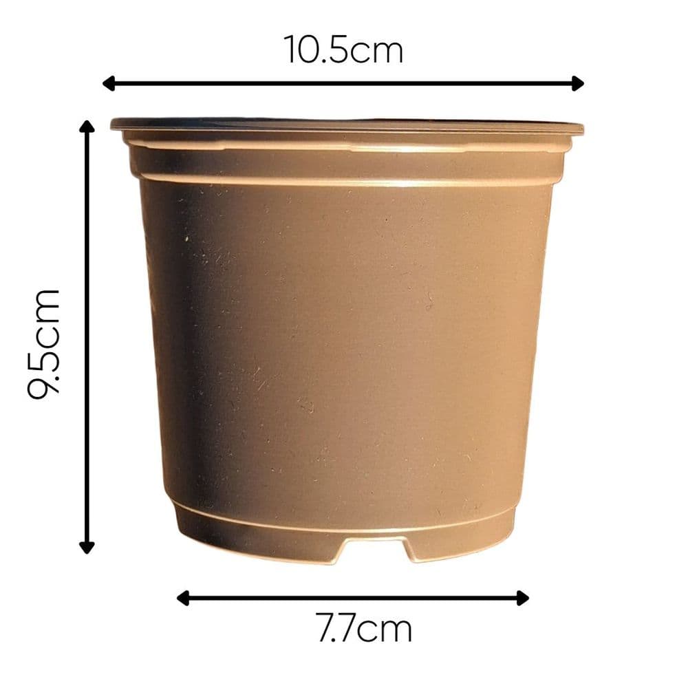 100 10.5 cm Plastic Plastic Plant pots Taupe Colour