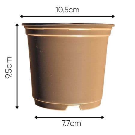 100 10.5 cm Plastic Plastic Plant pots Taupe Colour