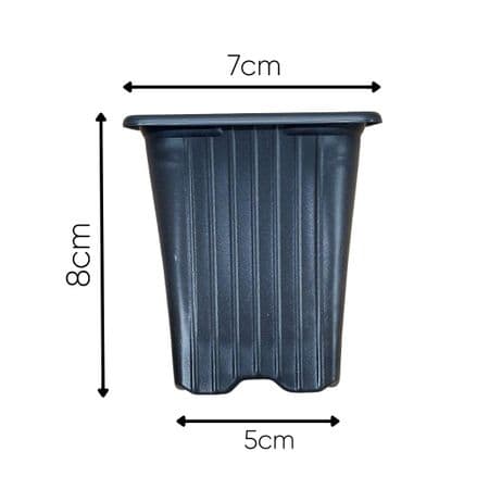 100 -7cm Square Black Plant Pot Ridged By Desh