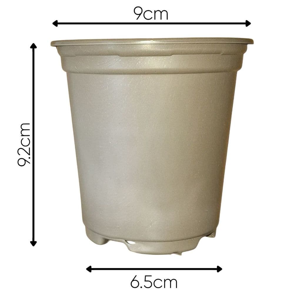 100  9cm Round Plastic Plastic Plant pots Taupe Colour
