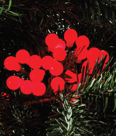 100 Red Berry Lights 1614260