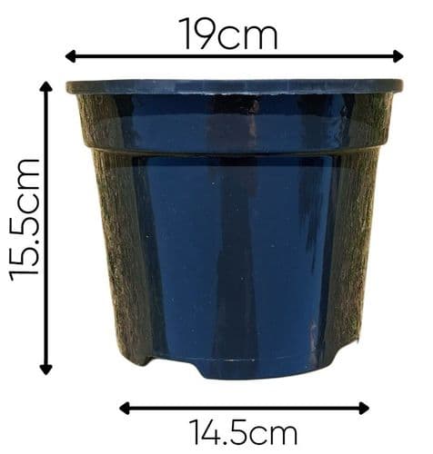 25 - 3  Litre  Black Round Plant Pots 19cm  Slotted by Aeroplas