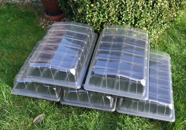 5  Full Size Propagator Seed Starting Kits Sets with  24  Cell Iserts