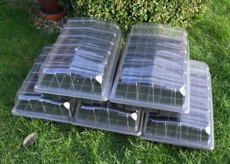 5  Full Size Propagator Seed Starting Kits Sets with  60  Cell  Inserts