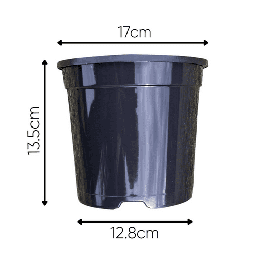 500 - 2 Litre  Black Round Plant Pots 17cm  Slotted by Aeroplas