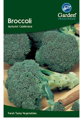 Broccoli Autumn Calabrese by Garden Treasures