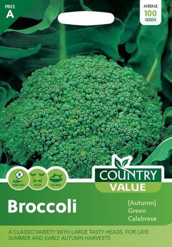 Broccoli   ( Autumn )  Green Calabrese