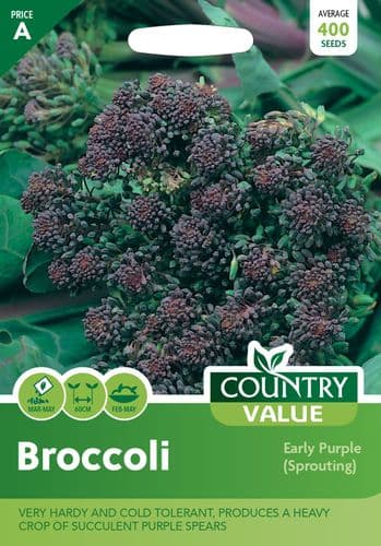 Broccoli Early Purple ( Sprouting )