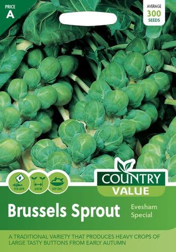 Brussels Sprout Evesham Special