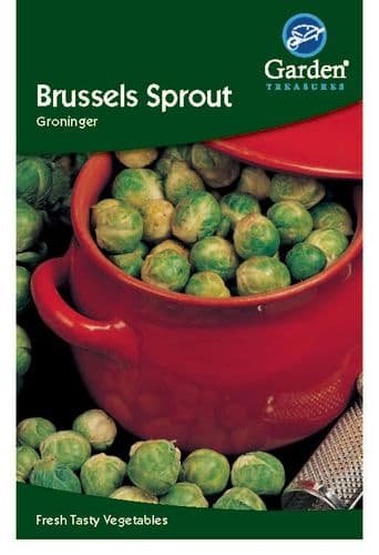 Brussels Sprout ( Groninger) by Garden Treasures