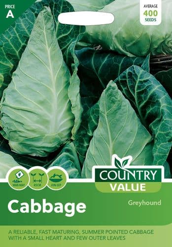 Cabbage   Greyhound