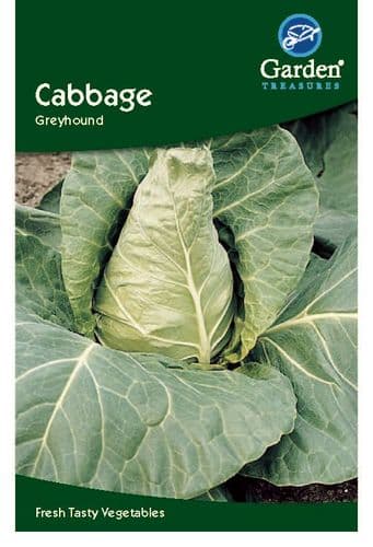 Cabbage Greyhound by Garden Treasures