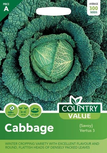 Cabbage   ( Savoy )  Vertus  3