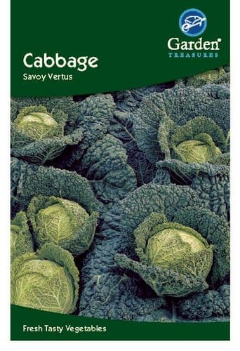 Cabbage Savoy Vertus         by Garden Treasures