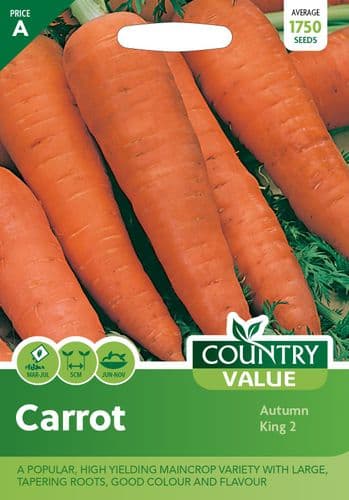 Carrot    Auumn King  2