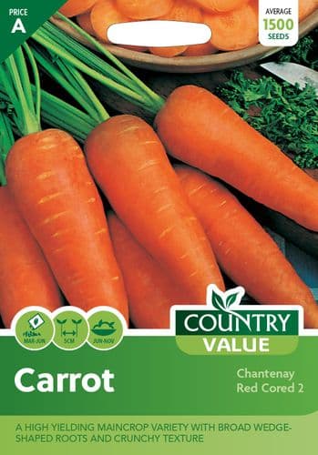 Carrot    Chantenay  Red  Cored  2