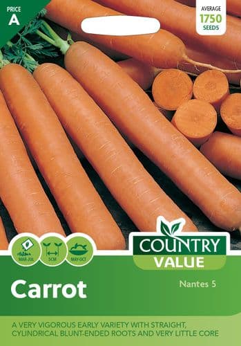 Carrot    Nantes  5