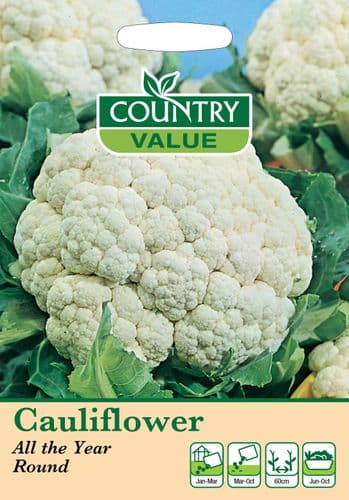 Cauliflower    All the Year Round