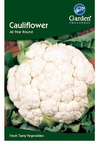 Cauliflower All Year Round       by Garden Treasures