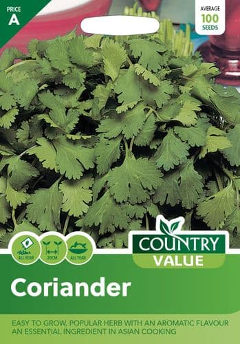 Coriander