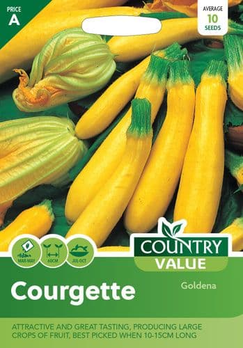 Courgette Goldena
