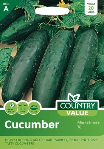 Cucumber     Marketmore 76