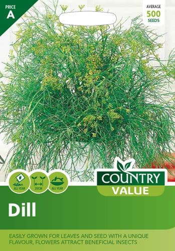 Dill