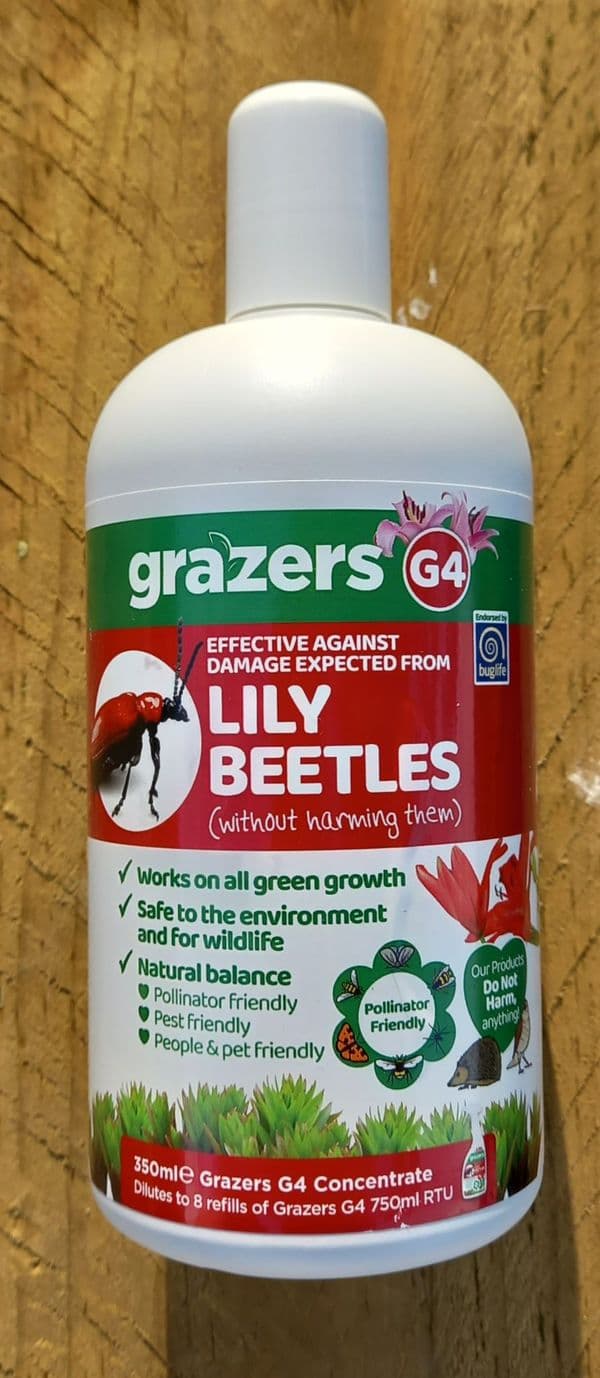 Grazers G4 Lily Beatle 350ml Concentrated bottle