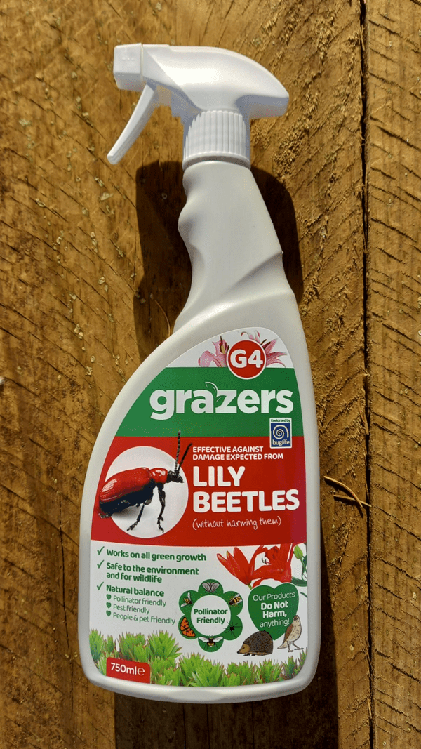 Grazers G4 Lily Beatle Ready to use 750ml spray
