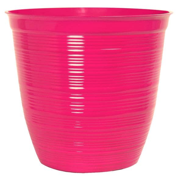 Hot Pink   Bellagio Tall 12